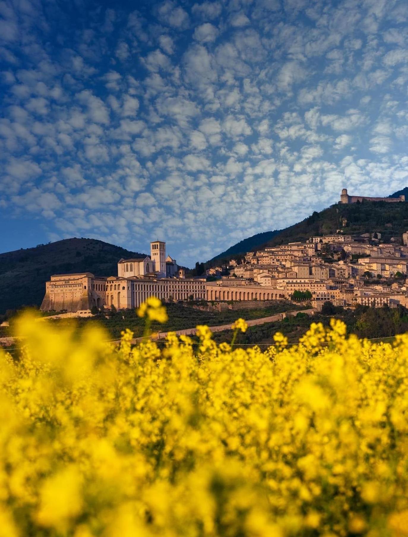Appartamento Locazione Turistica L'Antica Sorgente 帕尼卡莱 外观 照片