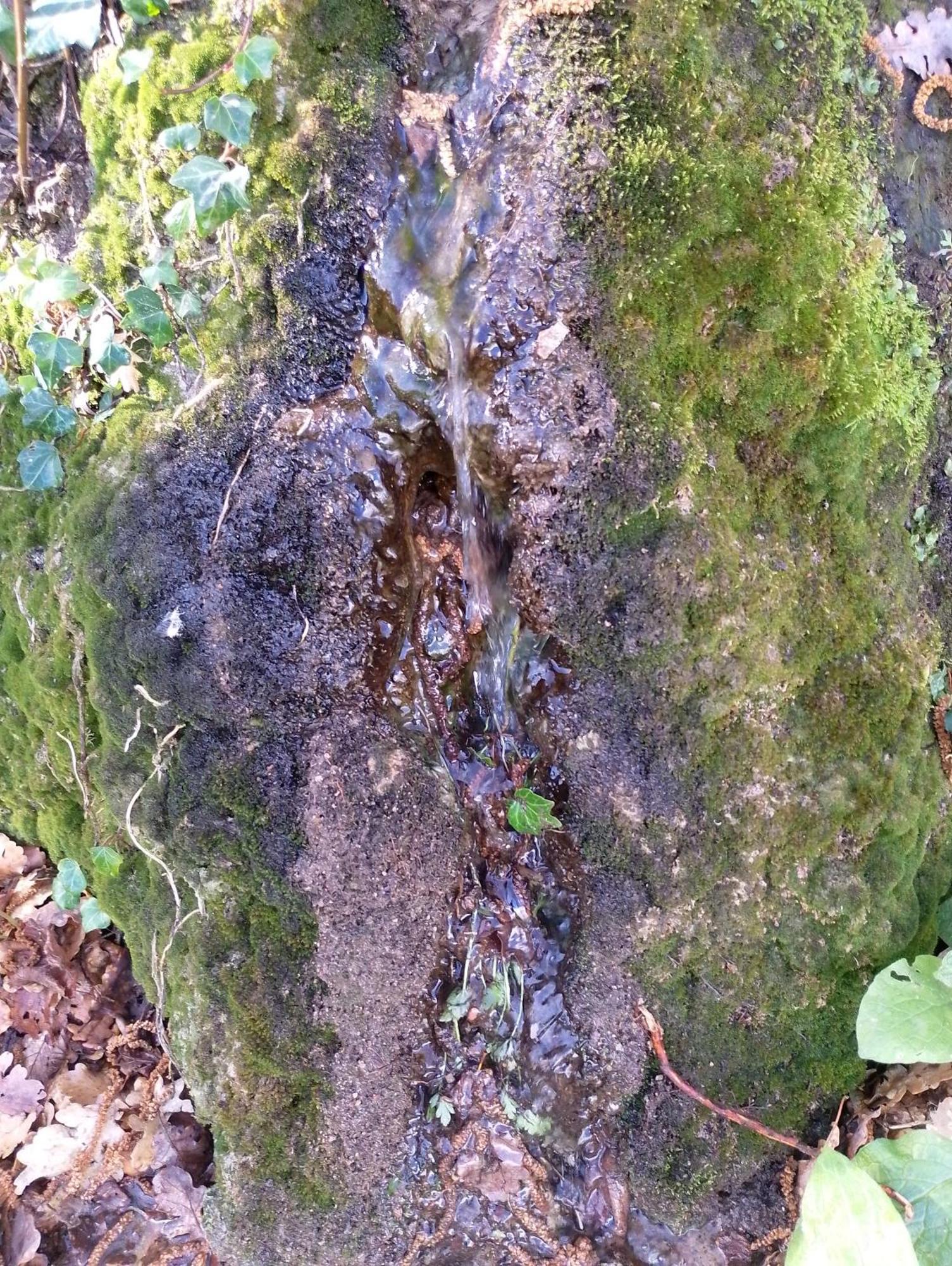 Appartamento Locazione Turistica L'Antica Sorgente 帕尼卡莱 外观 照片